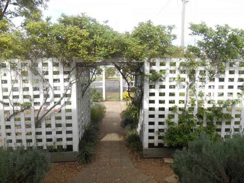 31 Wood Street, Warwick QLD 4370