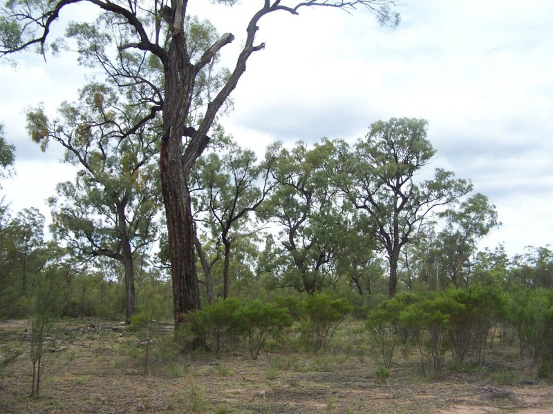 Lot 1 & 14 Goodwins Road, Coolmunda QLD 4387