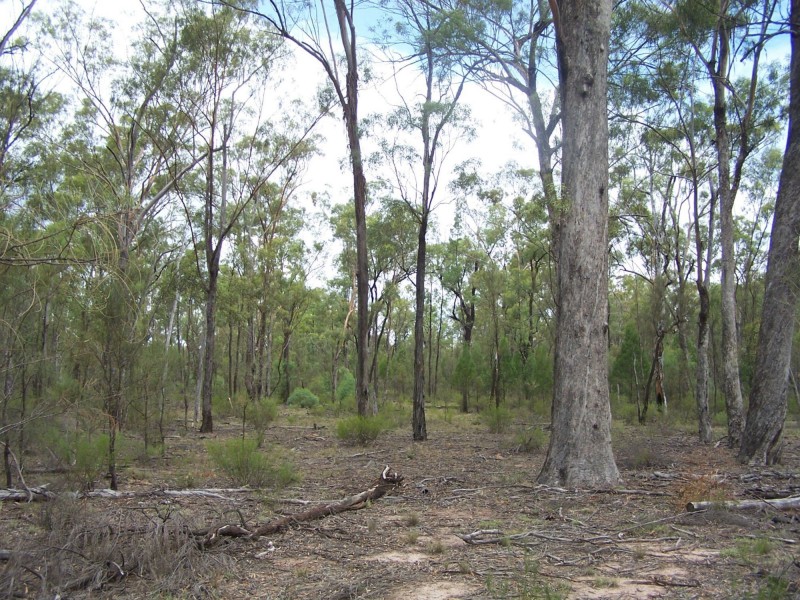 Lot 1 & 14 Goodwins Road, Coolmunda QLD 4387