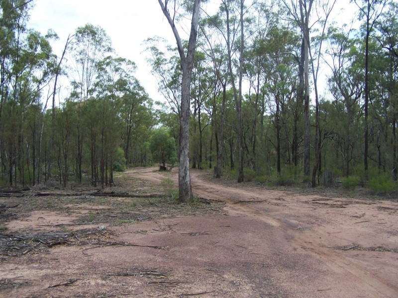 Lot 1 & 14 Goodwins Road, Coolmunda QLD 4387