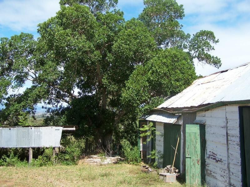 163 Glen Road, Rosenthal Heights QLD 4370