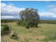 Rosenthal Heights QLD 4370