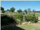63 Rosenthal Road, Rosenthal Heights QLD 4370