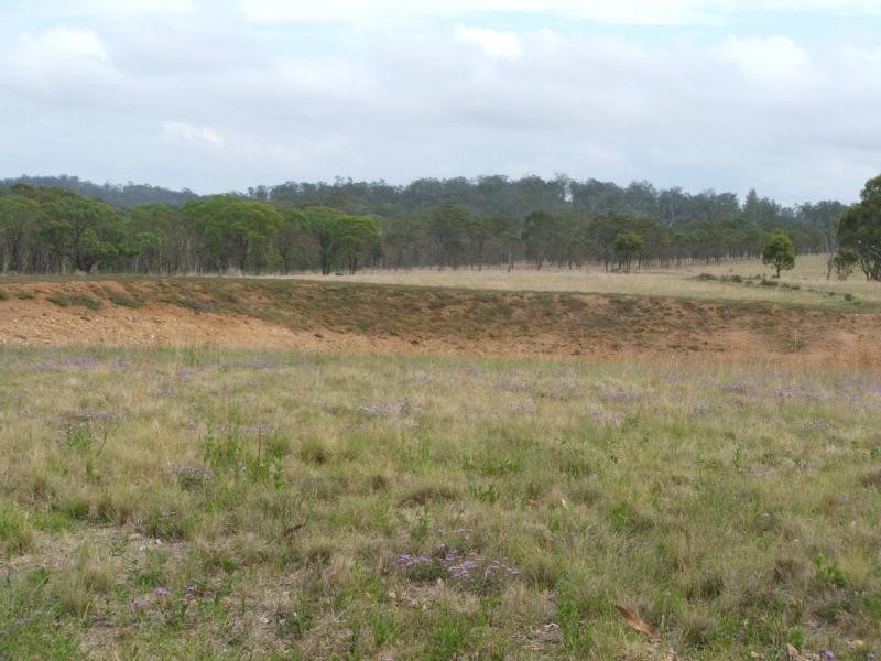 Warwick QLD 4370