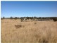 Karara QLD 4352