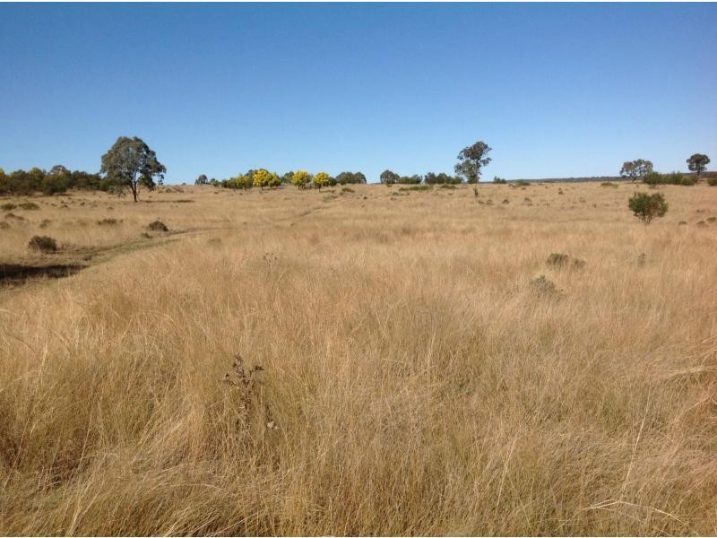 Karara QLD 4352