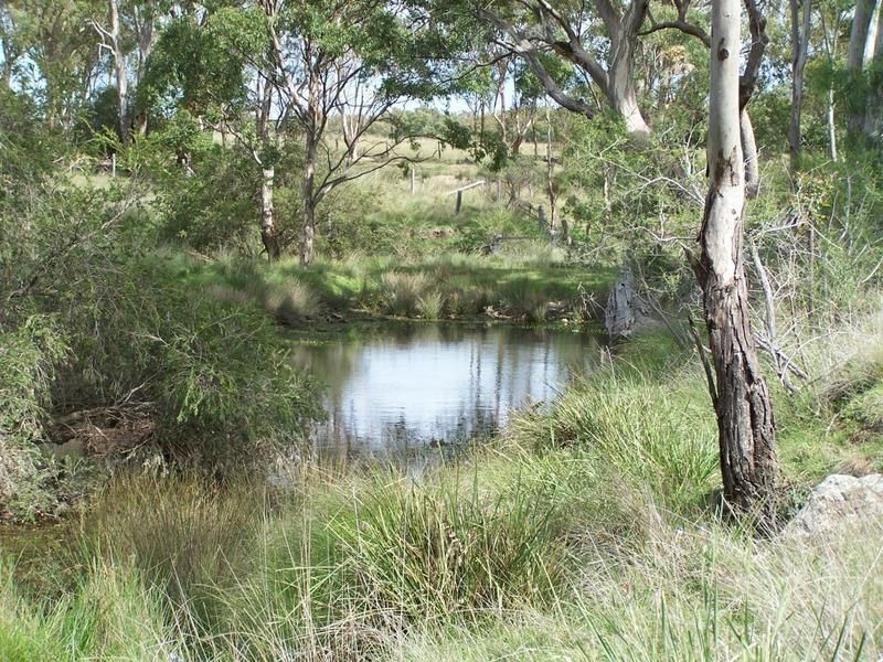 Warwick QLD 4370