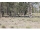 Lot 3 HENDON- DEUCHAR Road, Deuchar QLD 4362