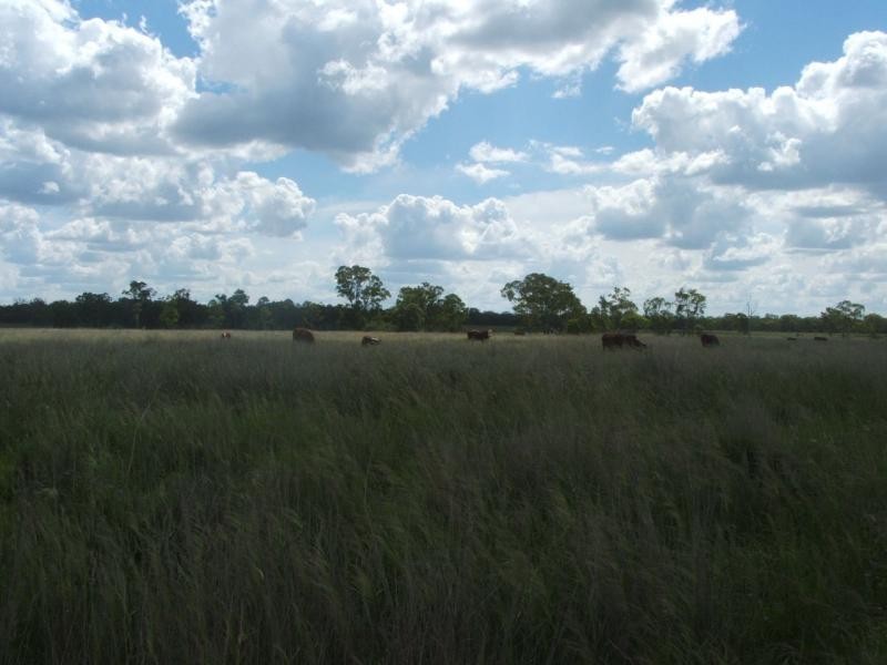 Karara QLD 4352