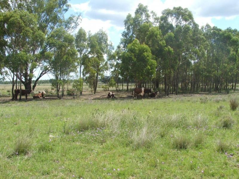 Karara QLD 4352