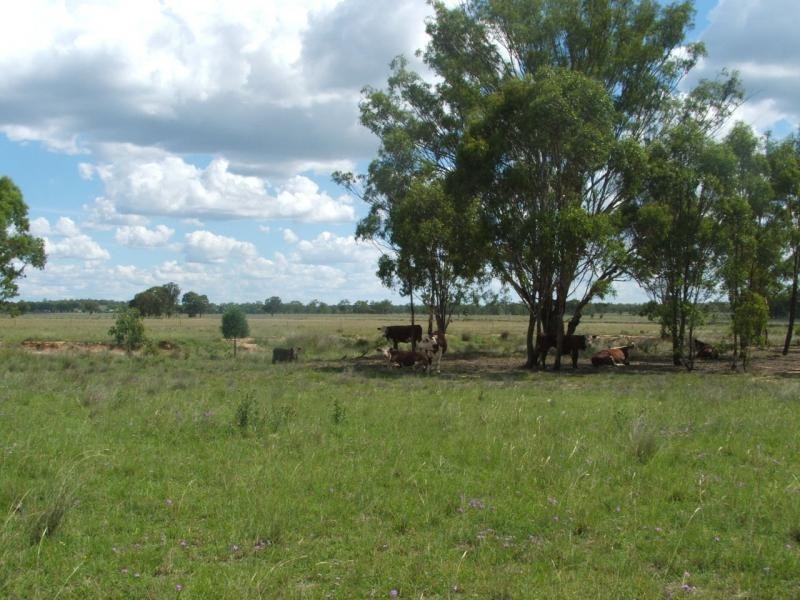 Karara QLD 4352