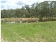 Karara QLD 4352