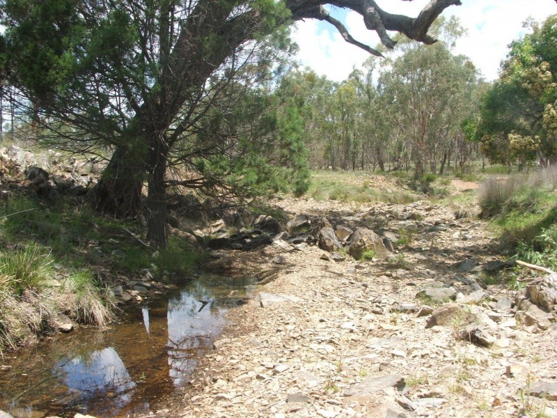 Karara QLD 4352