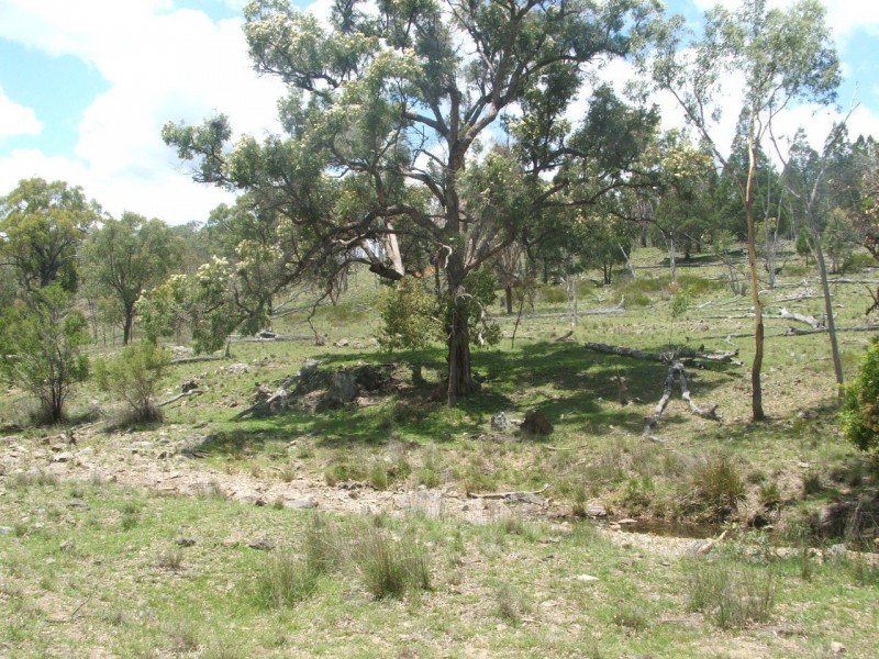 Karara QLD 4352