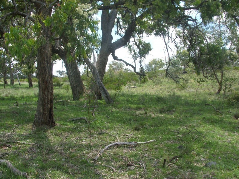Karara QLD 4352
