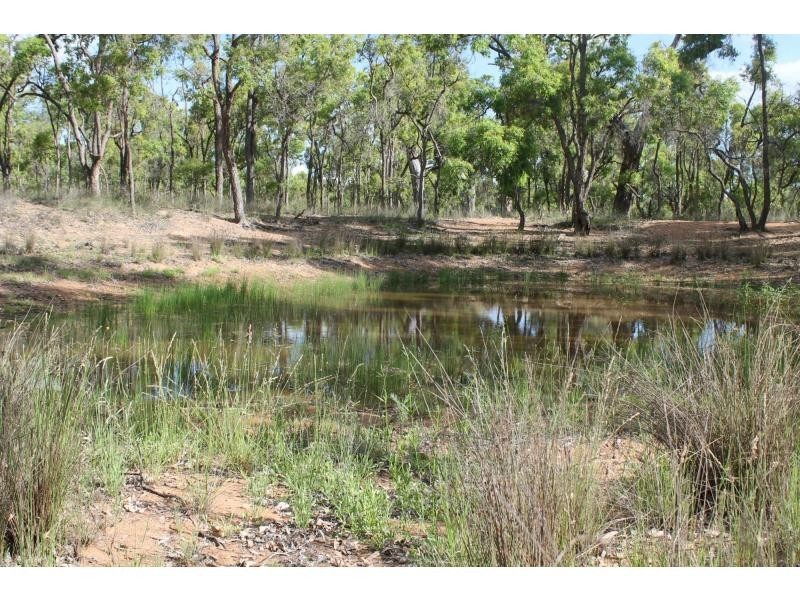 52 Quigleys Road, Warwick QLD 4370