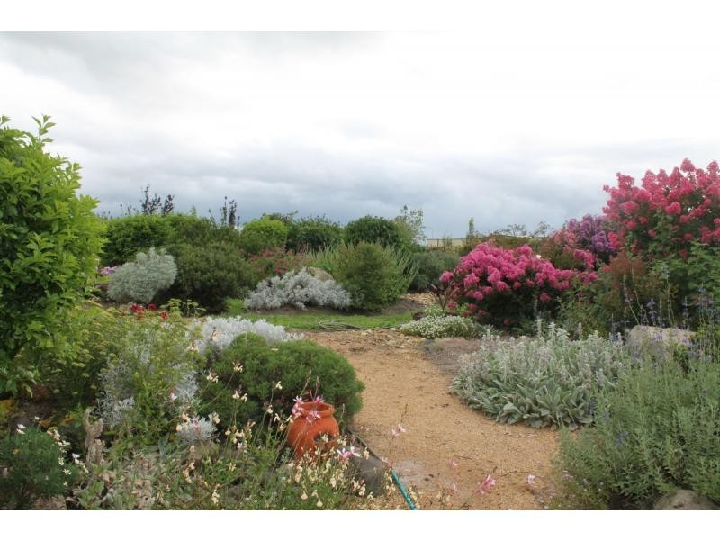 29 Derain Drive, Warwick QLD 4370