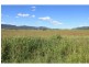Swanfels QLD 4371