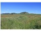 Swanfels QLD 4371