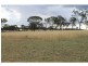252 Warner Street, Warwick QLD 4370