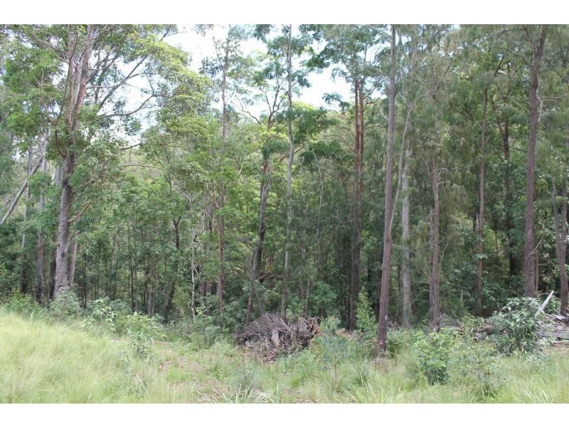 L23 Top Swanfels Road, Swanfels QLD 4371