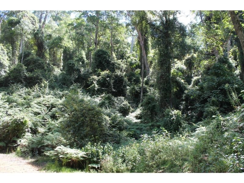 L23 Top Swanfels Road, Swanfels QLD 4371