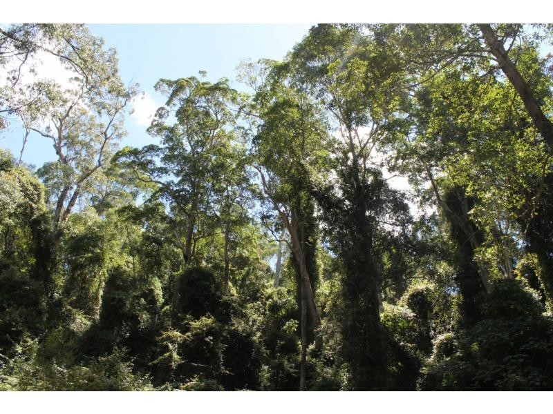 L23 Top Swanfels Road, Swanfels QLD 4371