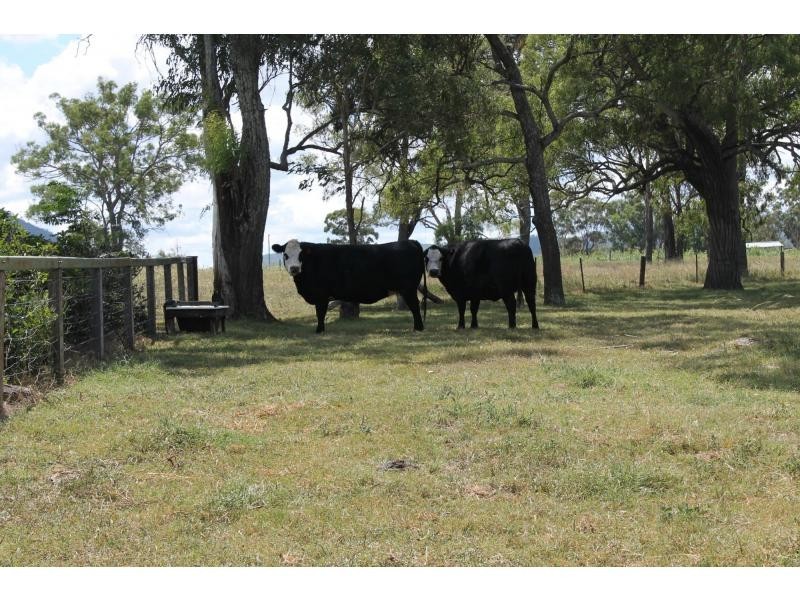 145 Strudwicks Road, Warwick QLD 4370