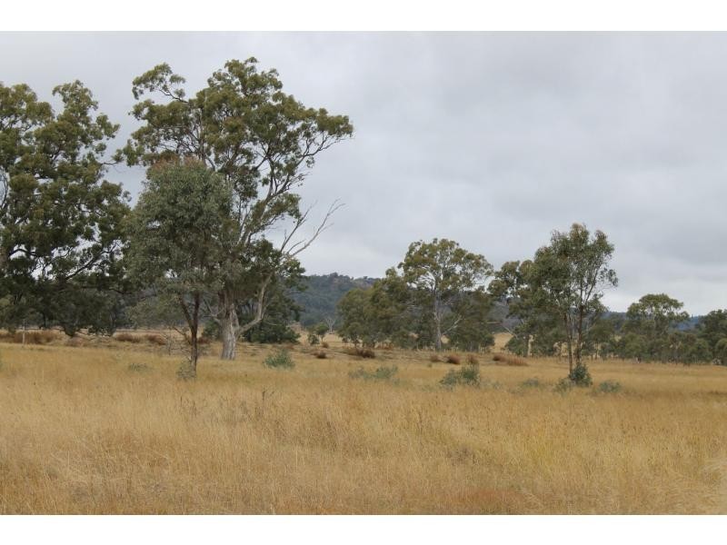 Warwick QLD 4370