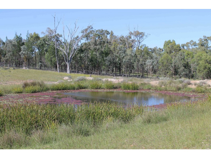 Lot 11 Luna Road, Inglewood QLD 4387