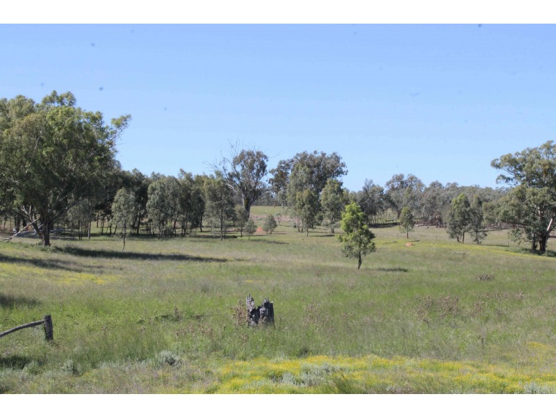 Lot 11 Luna Road, Inglewood QLD 4387