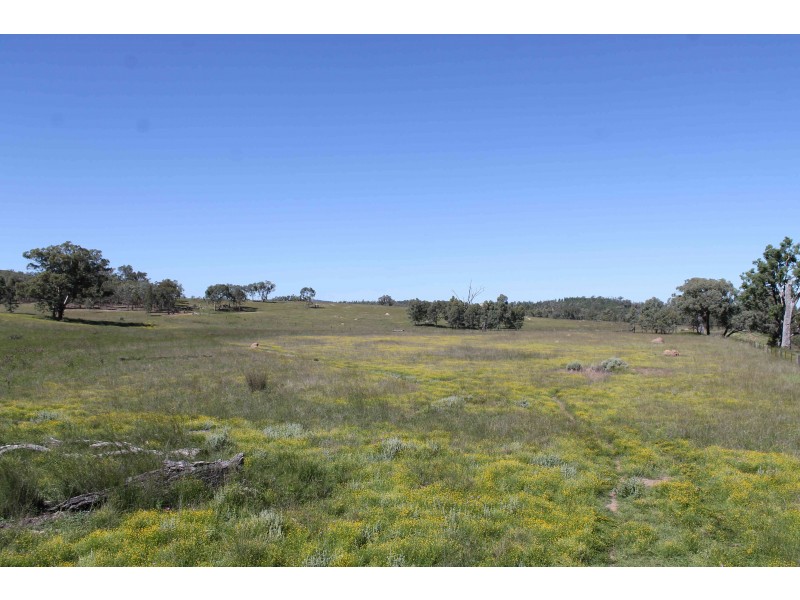 Lot 11 Luna Road, Inglewood QLD 4387