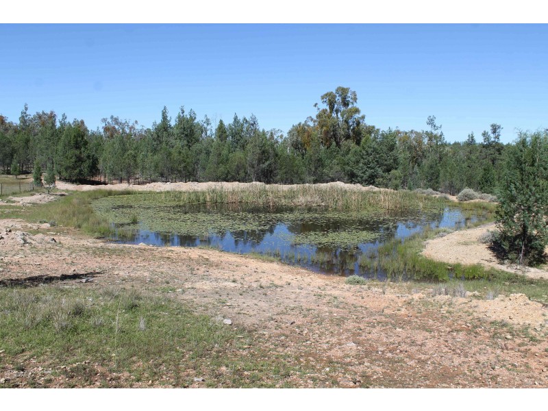 Lot 11 Luna Road, Inglewood QLD 4387