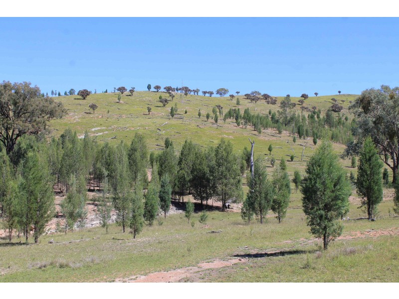 Lot 11 Luna Road, Inglewood QLD 4387