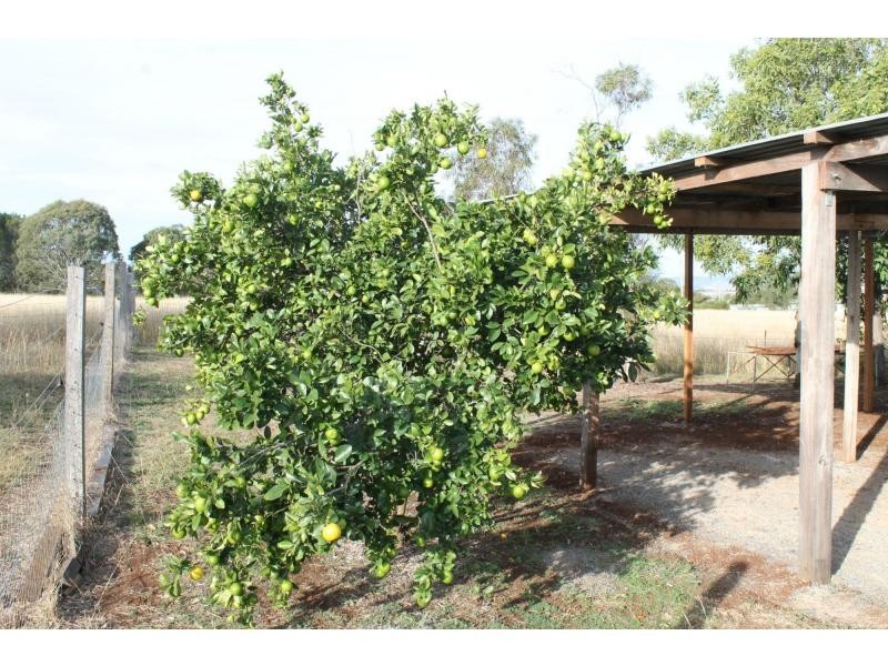 17 Sparksmans Road, Allora QLD 4362