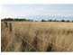 17 Sparksmans Road, Allora QLD 4362