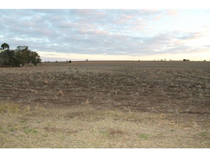 40 Ipomea Street, Emu Vale QLD 4371