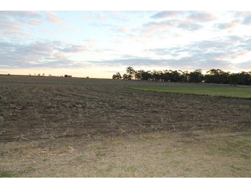 40 Ipomea Street, Emu Vale QLD 4371