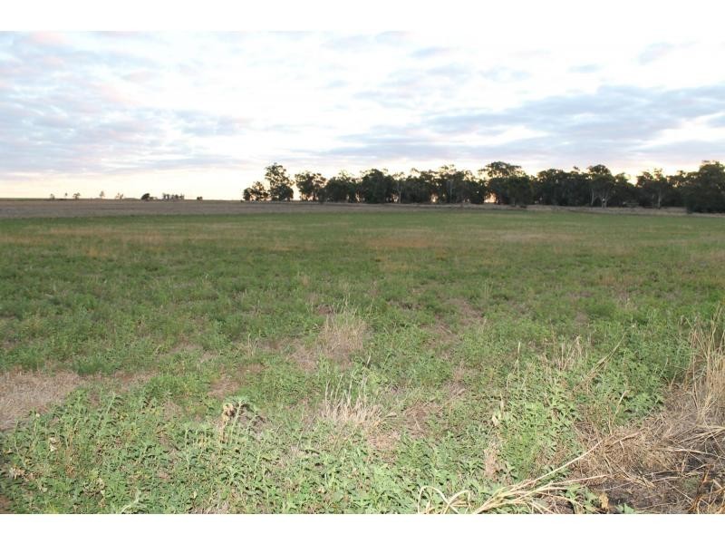 40 Ipomea Street, Emu Vale QLD 4371