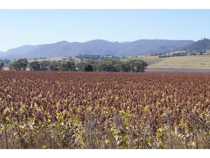 40 Ipomea Street, Emu Vale QLD 4371