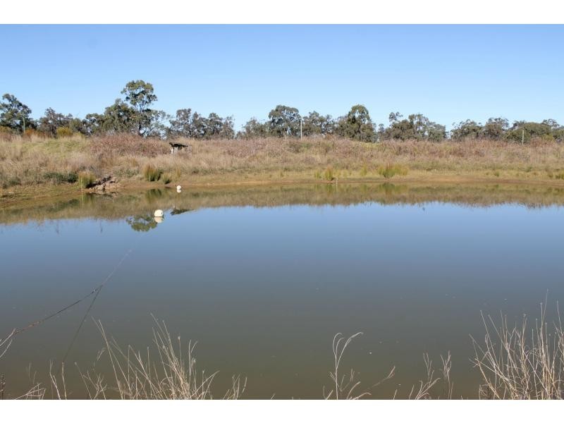 1335 Warwick Yangan Road, Warwick QLD 4370