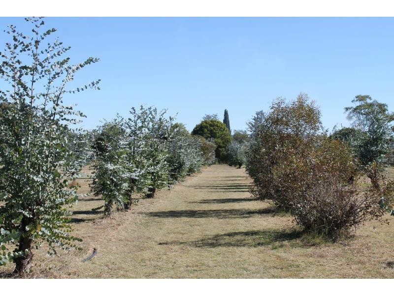 1335 Warwick Yangan Road, Warwick QLD 4370