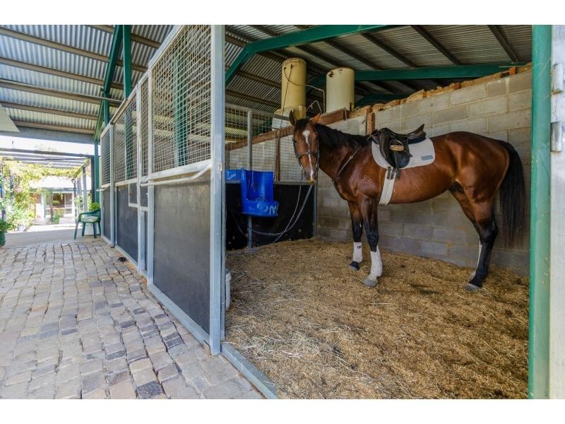 347 Old Stanthorpe Road, Warwick QLD 4370