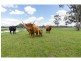 347 Old Stanthorpe Road, Warwick QLD 4370