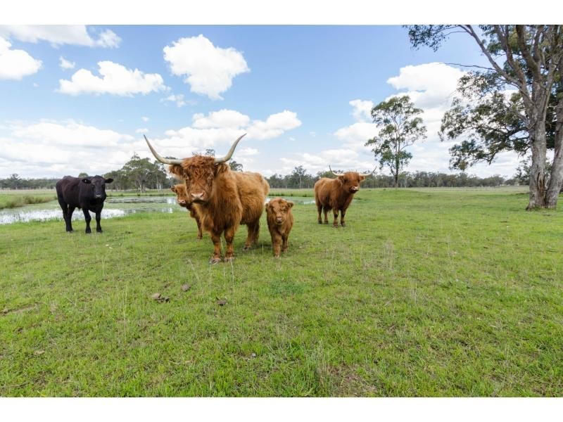 347 Old Stanthorpe Road, Warwick QLD 4370