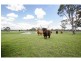 347 Old Stanthorpe Road, Warwick QLD 4370