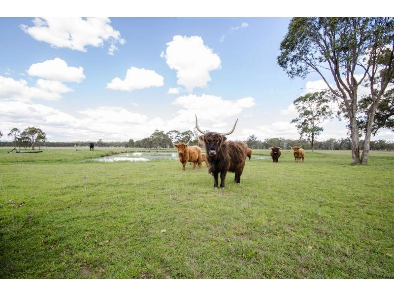 347 Old Stanthorpe Road, Warwick QLD 4370