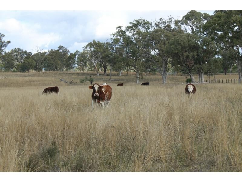 4188 Cunningham Highway, Cunningham QLD 4370