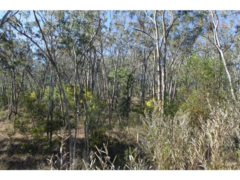 571 Swanfels Road, Swanfels QLD 4371