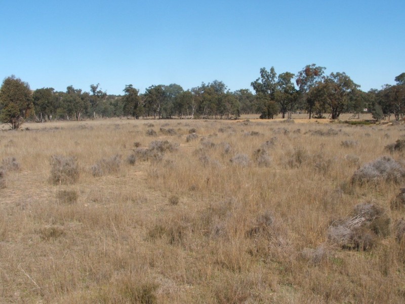 Lot 2 Reedy Creek Road, Karara QLD 4352